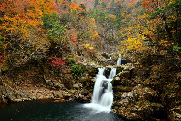 三段峡の紅葉 るるぶトラベル