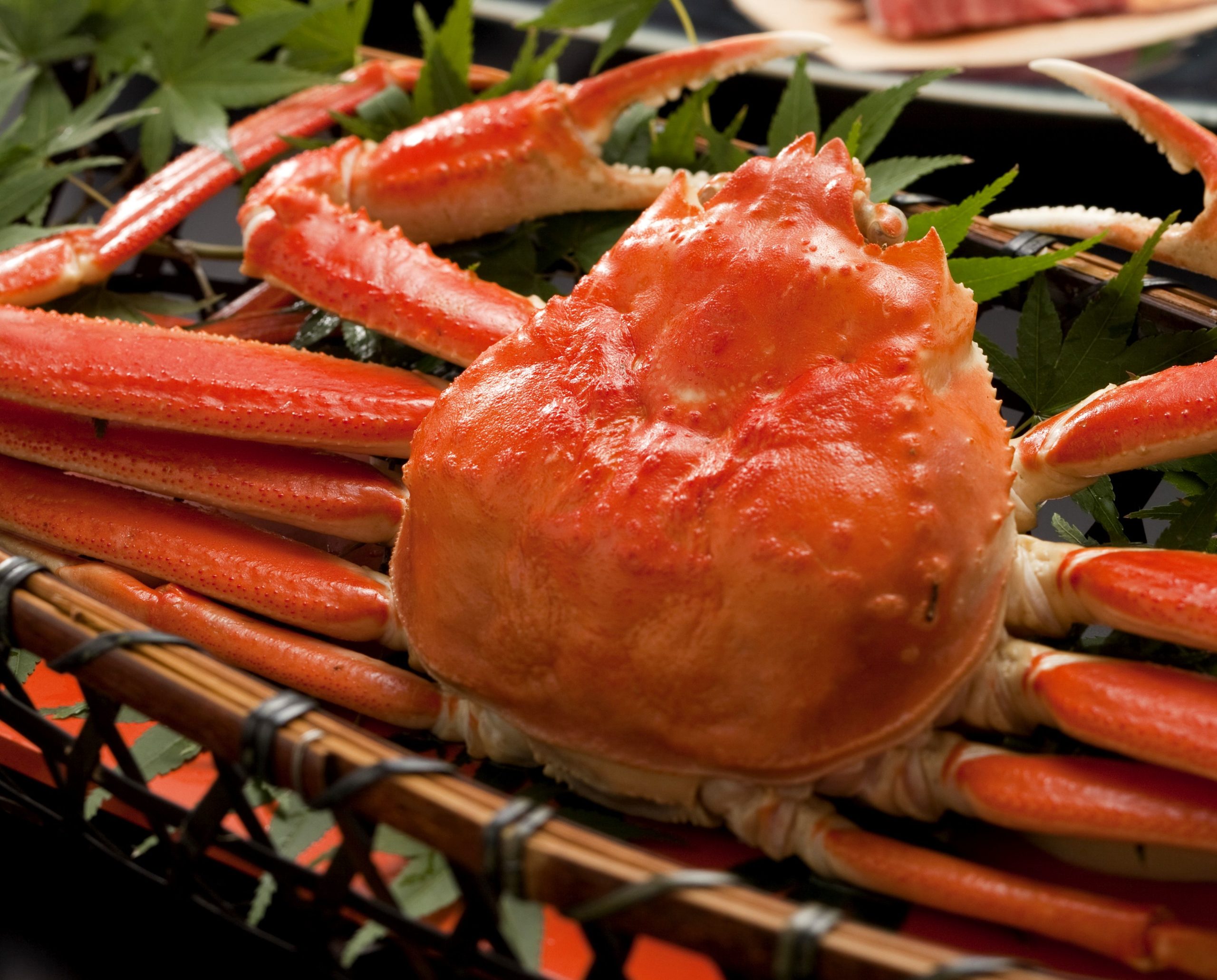 旬の贅沢 かにを食す旅 るるぶトラベル 旬の贅沢 かにを食す旅 るるぶトラベル