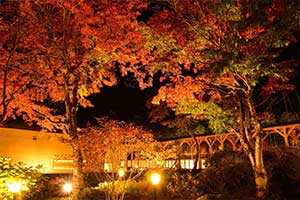奥の院ほてるとく川