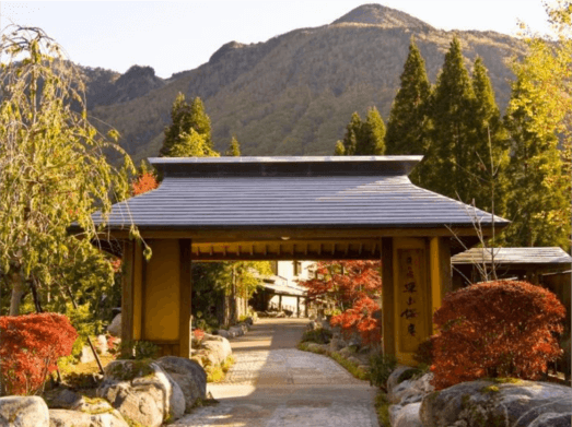 匠の宿深山桜庵