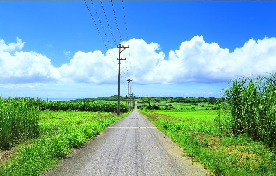 小浜島