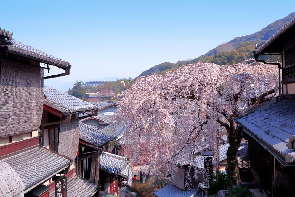 春の産寧坂