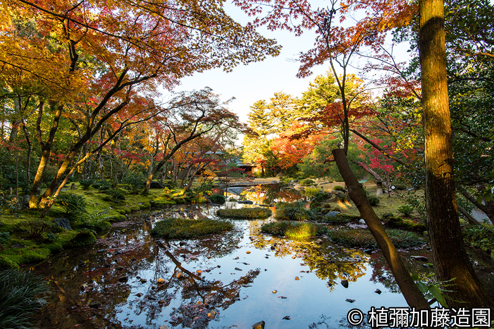 紅葉が美しい無鄰菴のイメージ