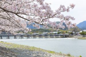 arashiyama