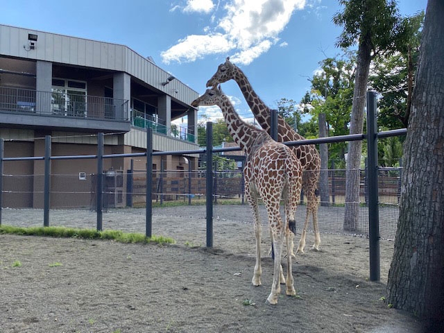 札幌市円山動物園