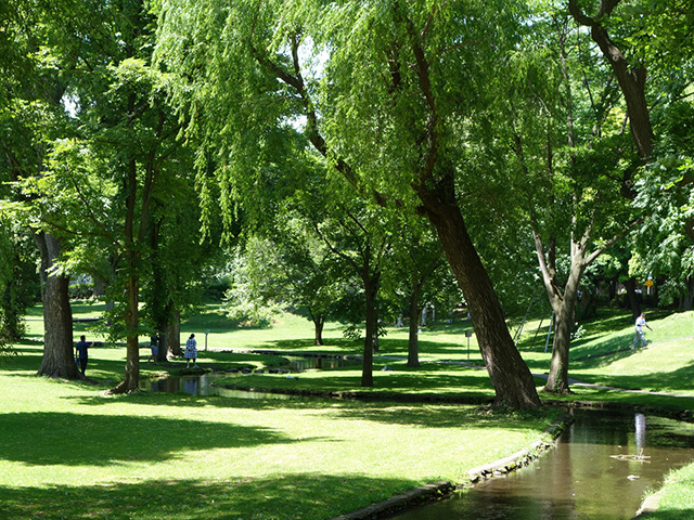 北海道大学