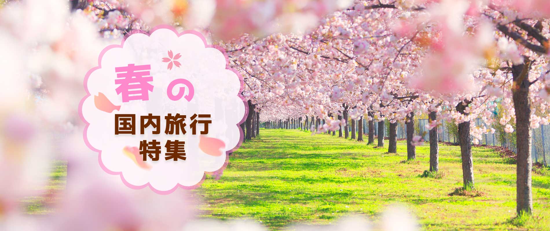 春におすすめ国内旅行特集2025
