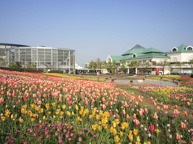 道の駅 新潟ふるさと村