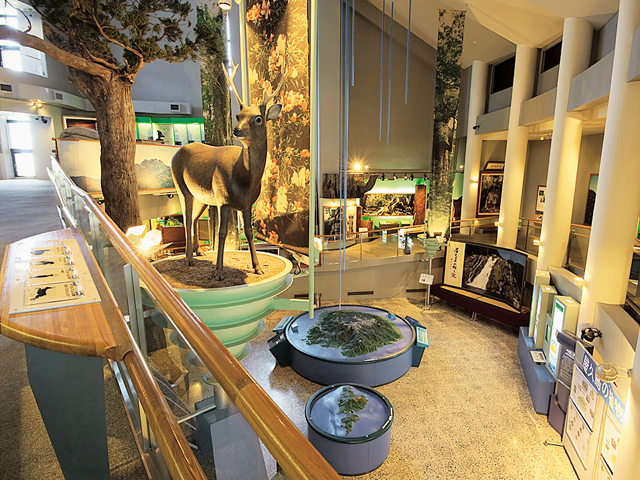 屋久島環境文化村センター