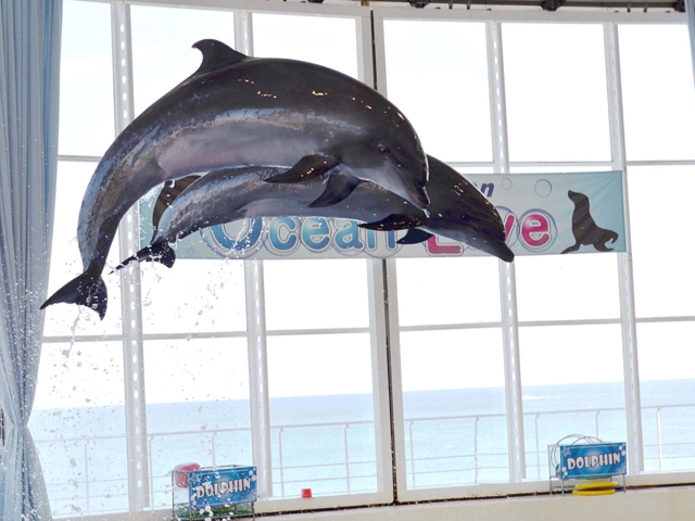 アクアワールド茨城県大洗水族館