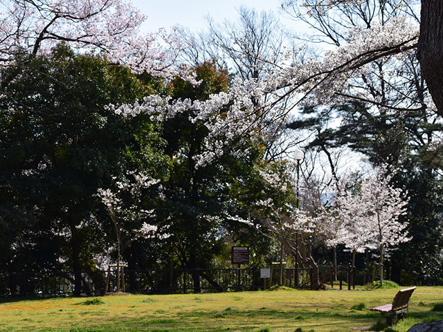 信夫山公園