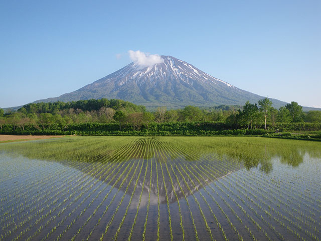 羊蹄山