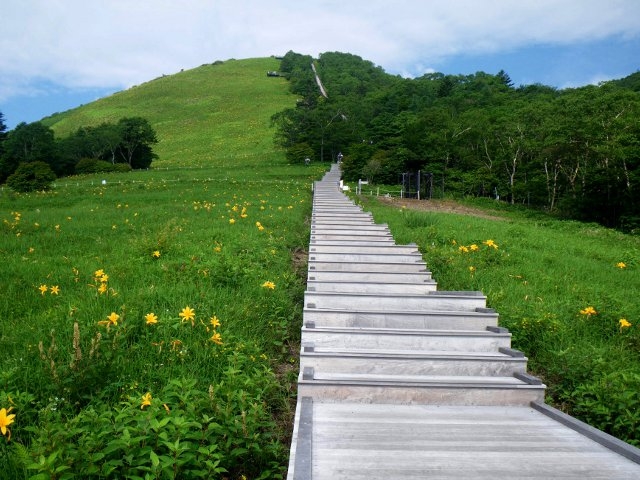 日光市霧降高原キスゲ平園地