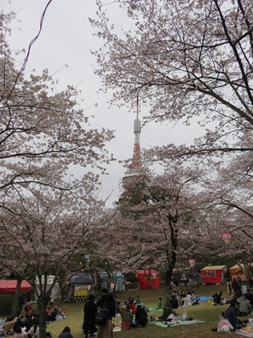 八幡山公園