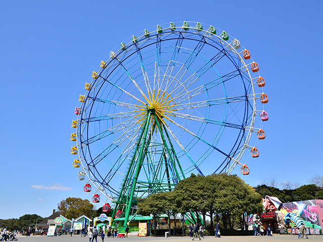 国営ひたち海浜公園