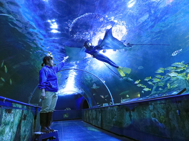 しながわ水族館