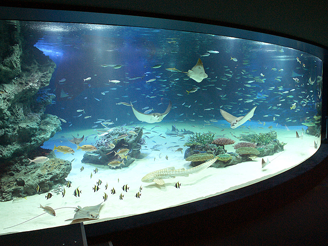 サンシャイン水族館