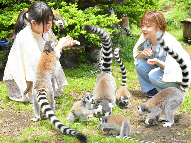 伊豆シャボテン動物公園