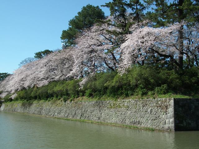 駿府城公園