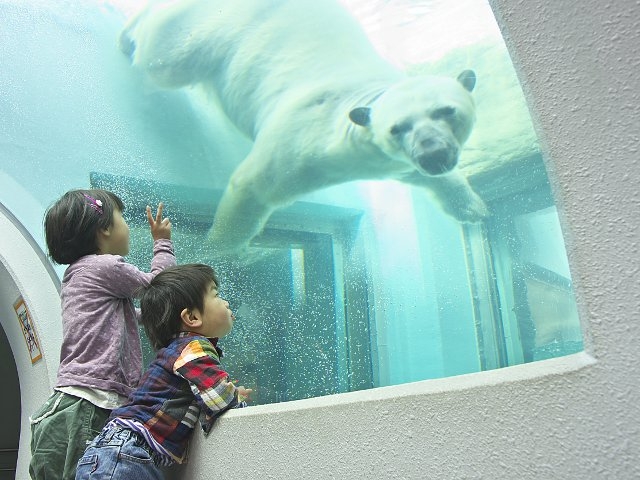 静岡市立日本平動物園