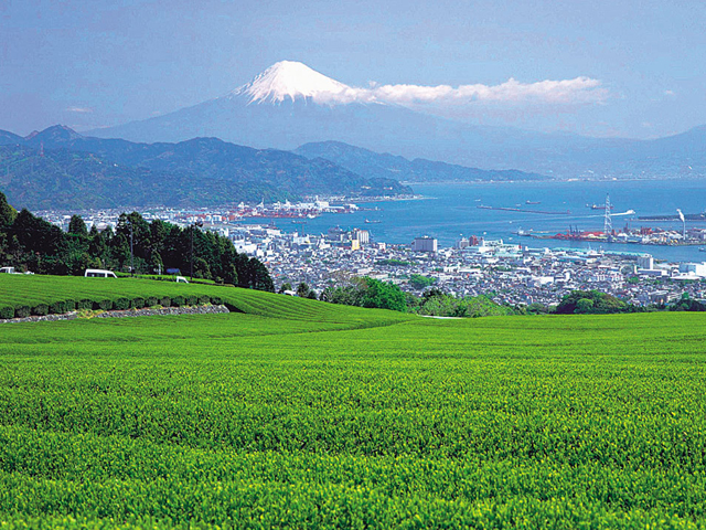 日本平山頂