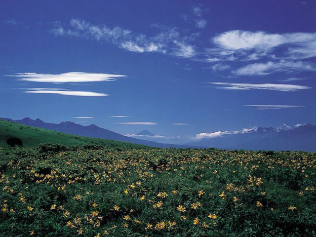 霧ケ峰高原