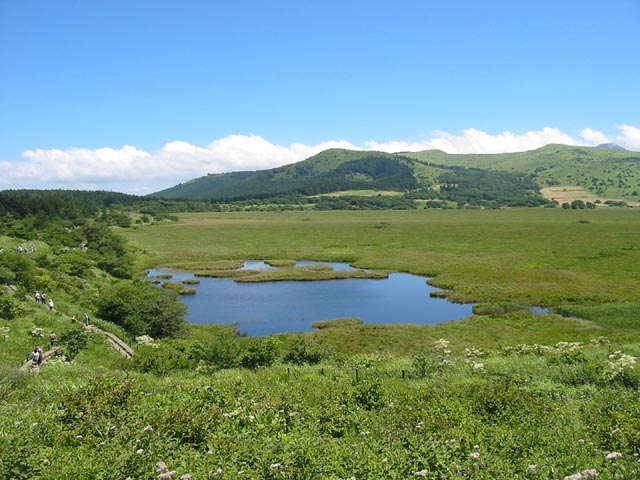 八島ヶ原湿原