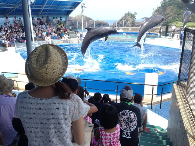 越前松島水族館