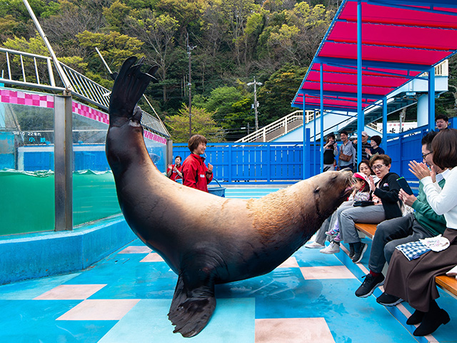 伊勢夫婦岩ふれあい水族館