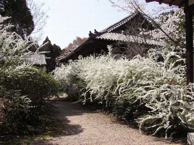 海龍王寺