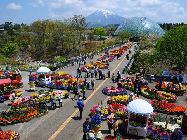 とっとり花回廊