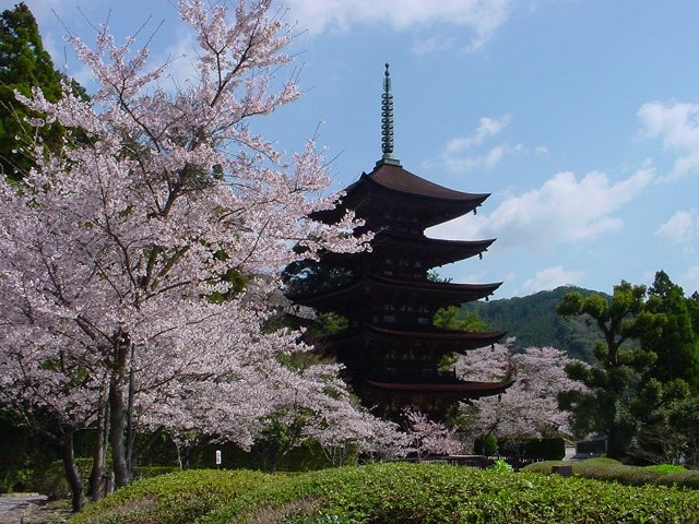 国宝瑠璃光寺五重塔