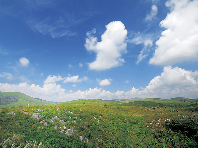 山口県の秋吉台