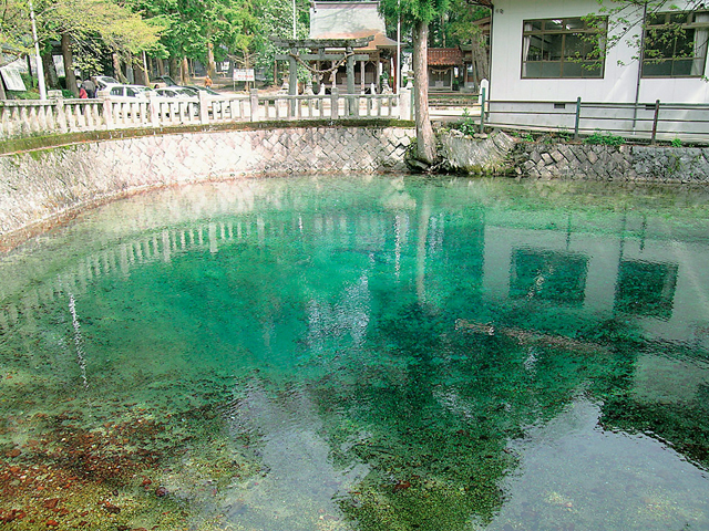 別府弁天池