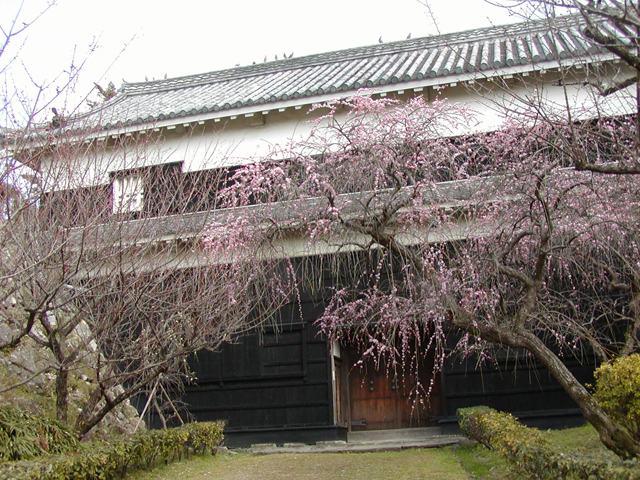 高知城
