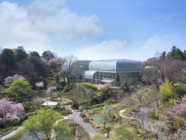 高知県立牧野植物園