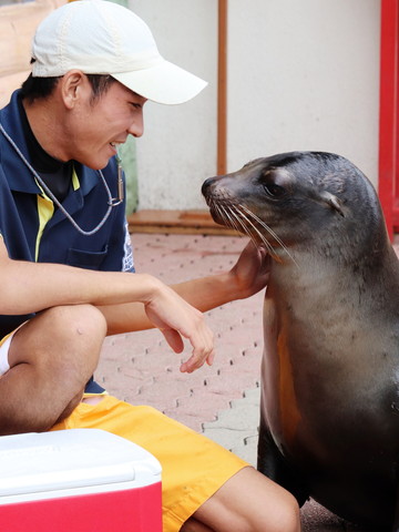 桂浜水族館