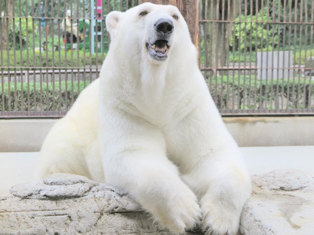 愛媛県立とべ動物園