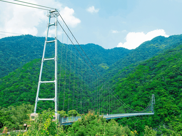 綾の照葉大吊橋