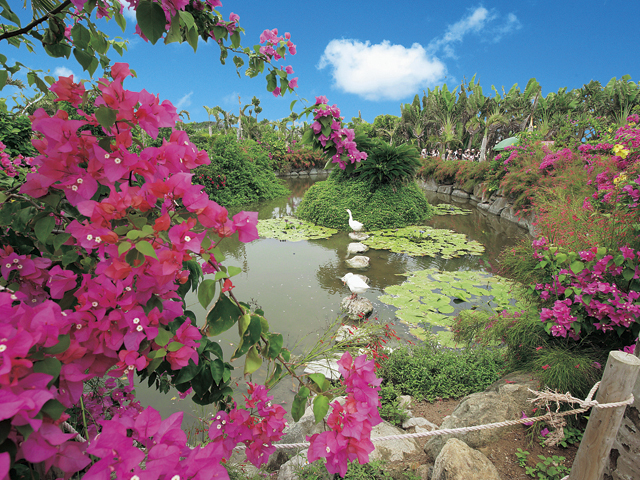 亜熱帯植物楽園 由布島