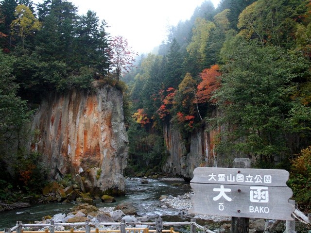 大函