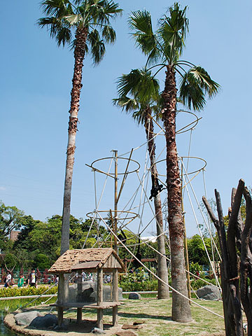 熊本市動植物園