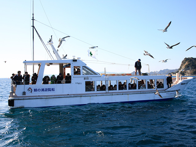 鯛の浦遊覧船