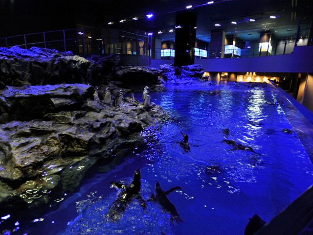 すみだ水族館