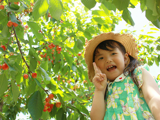 小野洋らん果樹園