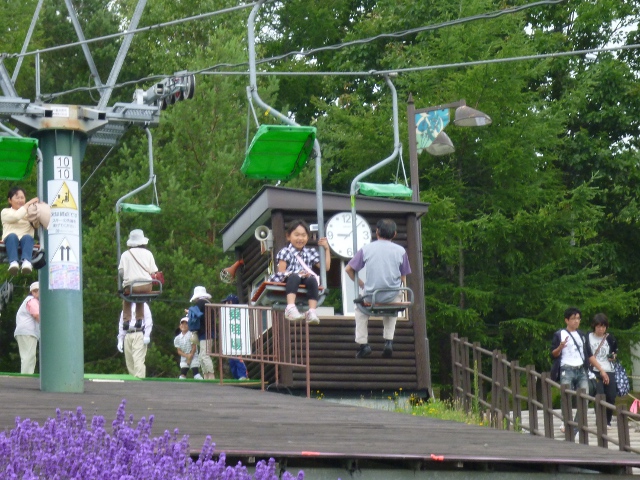 中富良野町営ラベンダー園