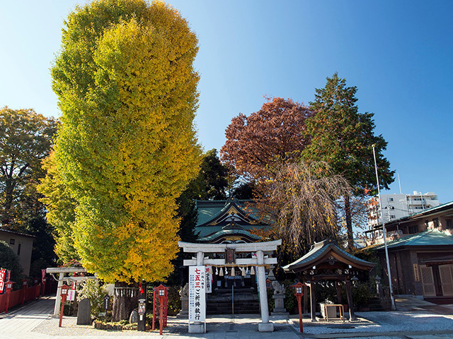 川越八幡宮