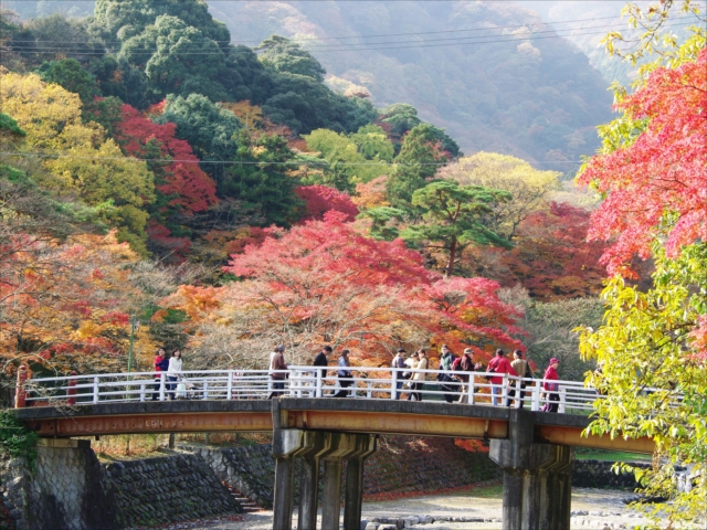 養老の滝