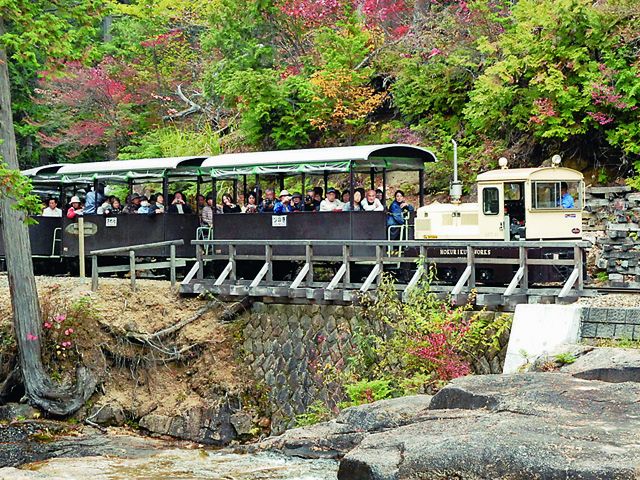 赤沢自然休養林