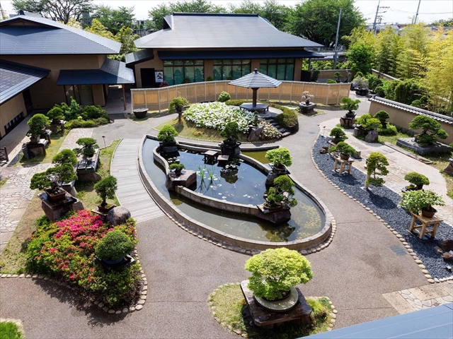 さいたま市大宮盆栽美術館